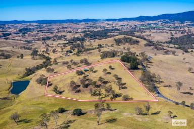 Acreage/Semi-rural For Sale - NSW - Candelo - 2550 - SMALL ACREAGE LIVING ON THE EDGE OF CANDELO  (Image 2)
