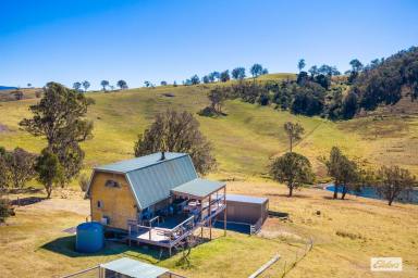Acreage/Semi-rural For Sale - NSW - Candelo - 2550 - SMALL ACREAGE LIVING ON THE EDGE OF CANDELO  (Image 2)