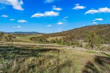 Other (Rural) For Sale - NSW - Singleton - 2330 - Secluded Acreage With Expansive Views  (Image 2)