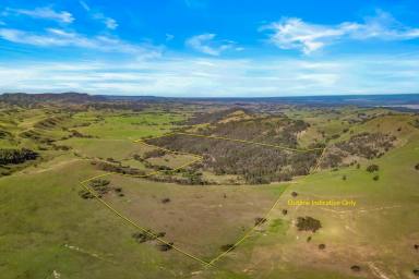 Other (Rural) For Sale - NSW - Singleton - 2330 - Secluded Acreage With Expansive Views  (Image 2)
