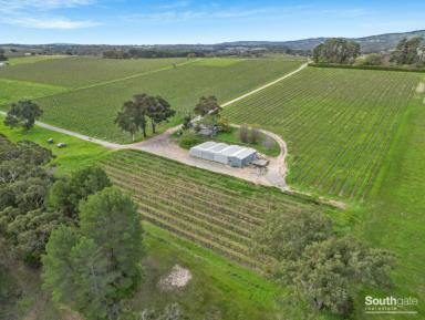 Other (Rural) For Sale - SA - Blewitt Springs - 5171 - Elevated 21.2ha Vineyard with Breathtaking Views & Outstanding Potential  (Image 2)