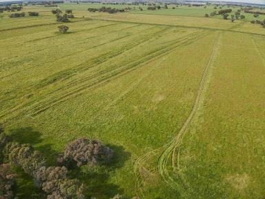 Acreage/Semi-rural For Sale - VIC - Dingwall - 3579 - For Sale by Expression of Interest  (Image 2)