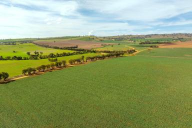 Mixed Farming For Sale - NSW - Wagga Wagga - 2650 - Scale, Versatility & Productive Capability in the Eastern Riverina  (Image 2)