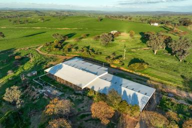 Mixed Farming For Sale - NSW - Wagga Wagga - 2650 - Scale, Versatility & Productive Capability in the Eastern Riverina (Image 2)