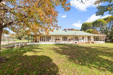Mixed Farming For Sale - NSW - Wagga Wagga - 2650 - Scale, Versatility & Productive Capability in the Eastern Riverina (Image 2)