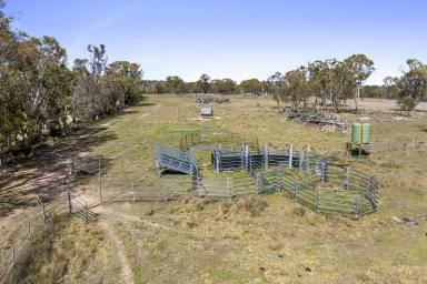 Lifestyle For Sale - QLD - Dalveen - 4374 - "Bedrock Station" The Perfect Getaway!!!  (Image 2)