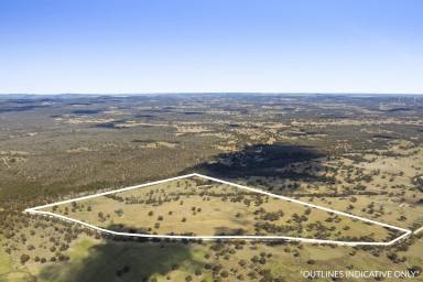 Lifestyle For Sale - QLD - Dalveen - 4374 - "Bedrock Station" The Perfect Getaway!!!  (Image 2)
