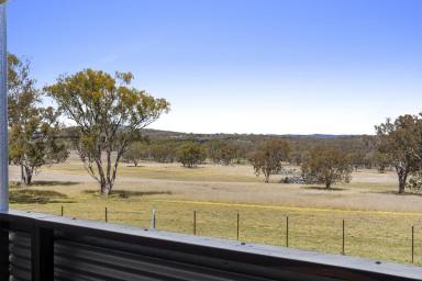 Lifestyle For Sale - QLD - Dalveen - 4374 - "Bedrock Station" The Perfect Getaway!!!  (Image 2)