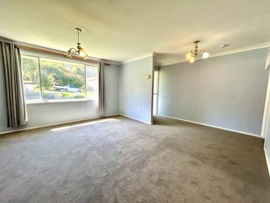 House For Lease - NSW - Tamworth - 2340 - Comfortable Living with Modern Touches  (Image 2)