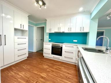 House For Lease - NSW - Tamworth - 2340 - Comfortable Living with Modern Touches  (Image 2)