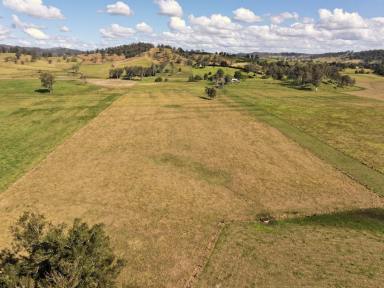 Mixed Farming For Sale - NSW - Kyogle - 2474 - "KILLALOE" - 136 ACRES  (Image 2)