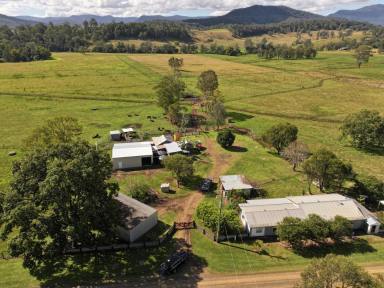 Mixed Farming For Sale - NSW - Kyogle - 2474 - "KILLALOE" - 136 ACRES  (Image 2)