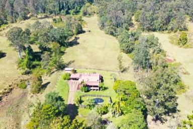 Livestock For Sale - NSW - Kyogle - 2474 - COLLINS CREEK FRONTAGE (Image 2)