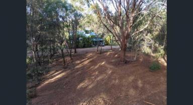 Residential Block For Sale - QLD - Russell Island - 4184 - 31 Tahlin Drive, Russell Island – Vacant Land Opportunity  (Image 2)