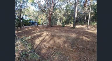 Residential Block For Sale - QLD - Russell Island - 4184 - 31 Tahlin Drive, Russell Island – Vacant Land Opportunity  (Image 2)