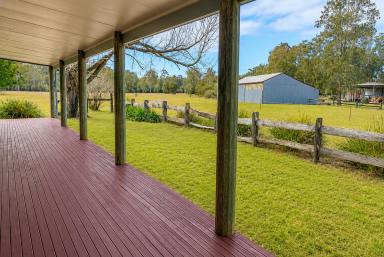 Lifestyle For Sale - NSW - Gibberagee - 2469 - Productive Acreage ,Outstanding Water Security, Well Established Timber  (Image 2)