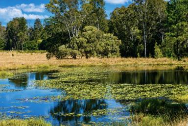 Lifestyle For Sale - NSW - Gibberagee - 2469 - Productive Acreage ,Outstanding Water Security, Well Established Timber  (Image 2)