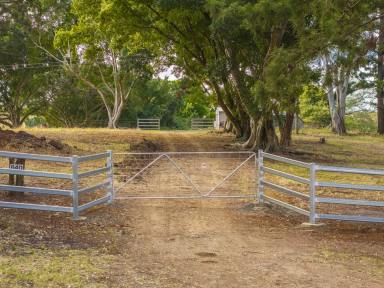 Acreage/Semi-rural For Sale - NSW - Woodview - 2470 - Dream Big - Space, Serenity & Views  (Image 2)
