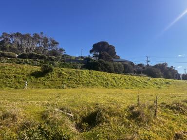 Residential Block For Sale - TAS - Boat Harbour Beach - 7321 - Beautiful Boat Harbour Beach  (Image 2)