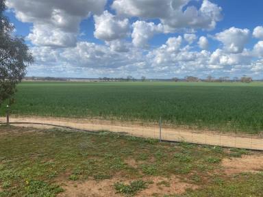 Mixed Farming For Sale - WA - South Quairading - 6383 - Lake Yenyenninning Farm  (Image 2)