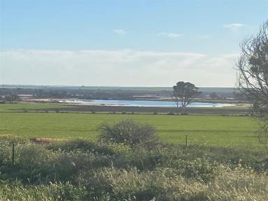 Mixed Farming For Sale - WA - Dangin - 6383 - Lake Yenyenninning Farm  (Image 2)