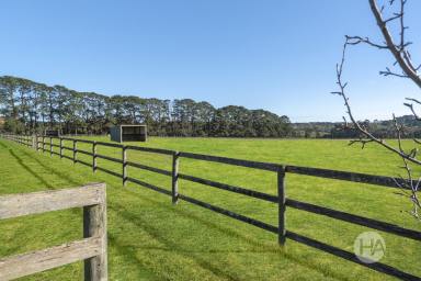 Acreage/Semi-rural For Sale - VIC - Tuerong - 3915 - Prestigious Rural Landholding with Plans, Privacy and Peninsula Appeal  (Image 2)