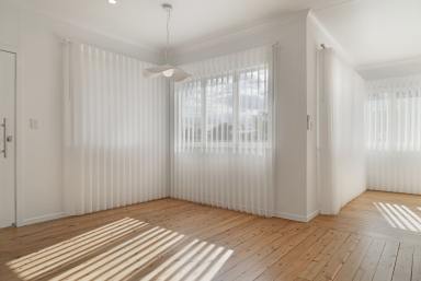 House For Lease - QLD - Dalby - 4405 - Luxury, Light & Character - A Home to Stop You in Your Tracks  (Image 2)