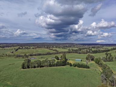 Lifestyle For Sale - NSW - Brayton - 2579 - River Frontage, Rural Freedom & 123 Acres to Call Your Own (Image 2)