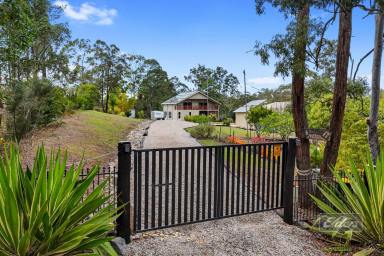 House For Sale - QLD - Glenwood - 4570 - A LIFESTYLE PROPERTY THAT HAS IT ALL  (Image 2)