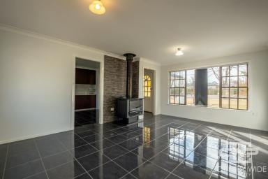 House For Sale - NSW - Glen Innes - 2370 - Space, Shedding & Established Gardens  (Image 2)