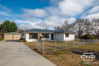 House For Sale - NSW - Glen Innes - 2370 - Space, Shedding & Established Gardens  (Image 2)