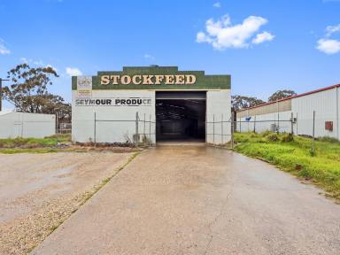 Industrial/Warehouse For Sale - VIC - Seymour - 3660 - GET IN QUICK!  (Image 2)