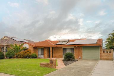 House For Sale - WA - Marangaroo - 6064 - Live. Play. Belong.  (Image 2)