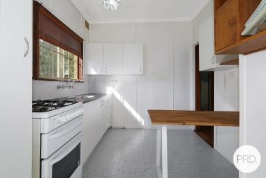 House For Lease - NSW - North Albury - 2640 - COMFORTABLE LIVING WITH SECURE YARD!  (Image 2)