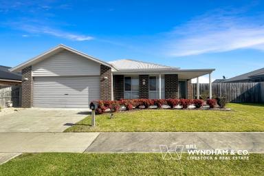 House For Lease - VIC - Eastwood - 3875 - MODERN FAMILY LIVING IN EASTWOOD (Image 2)
