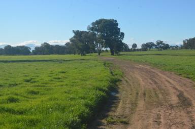 Mixed Farming For Sale - NSW - Forest Hill - 2651 - EDGE OF CITY RURAL LANDHOLDING PURCHASE & LEASE OPPORTUNITY  (Image 2)
