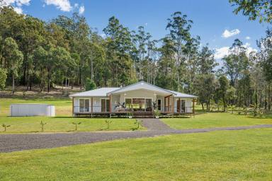 Acreage/Semi-rural For Sale - NSW - Wittitrin - 2440 - Dungay Park – 35 Acres of Freedom, Nature & Self-Sufficient Living  (Image 2)