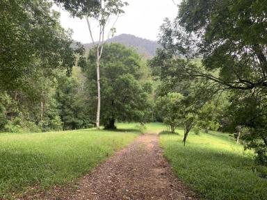 Acreage/Semi-rural For Sale - NSW - Kalang - 2454 - Private 63-Acre Self-Sufficient Sanctuary in the Kalang Valley  (Image 2)