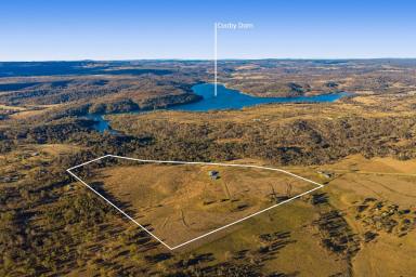 Lifestyle For Sale - QLD - Meringandan - 4352 - “Coobindah” Elevated Rural Estate on Lake Cooby’s Doorstep  (Image 2)