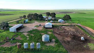 Cropping For Sale - SA - Burnsfield - 5520 - Productive Cropping Property with Excellent Accessibility  (Image 2)