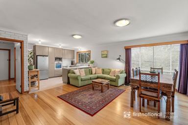 House For Sale - TAS - South Hobart - 7004 - A Rare South Hobart Haven Beside the Rivulet Offering…City Convenience, Mountain Majesty & a Backyard Like No Other!  (Image 2)