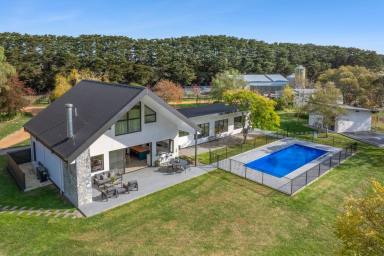 Lifestyle For Sale - VIC - Buckley - 3240 - Where Sustainable Design Meets Productive Land  (Image 2)