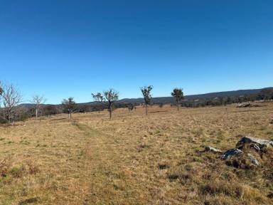 Residential Block For Sale - QLD - Eukey - 4380 - Prime grazing country Stanthorpe  (Image 2)