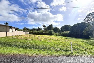 Residential Block For Sale - QLD - Russell Island - 4184 - Privacy, Parkland & Potential! (Image 2)