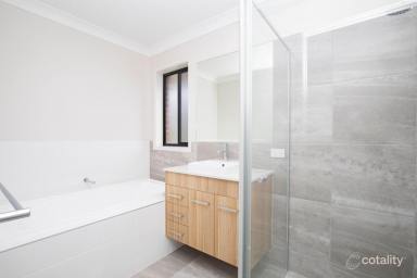 House For Lease - NSW - Raymond Terrace - 2324 - MODERN FAMILY HOME IN POTTERS LANE! (Image 2)