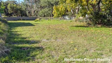 Residential Block For Sale - QLD - Russell Island - 4184 - Local Centre Zoned Mixed Use Block 703sqm– Central Russell Island (Image 2)