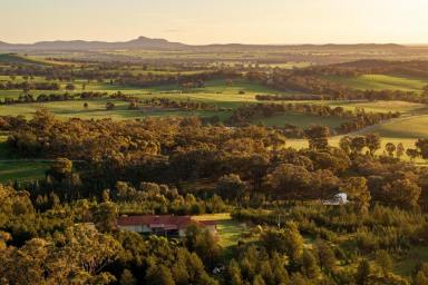 Lifestyle Auction - NSW - Wagga Wagga - 2650 - A prominent country lifestyle, only 10 mins to Wagga CBD!  (Image 2)