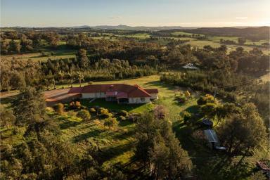 Lifestyle Auction - NSW - Wagga Wagga - 2650 - A prominent country lifestyle, only 10 mins to Wagga CBD!  (Image 2)