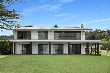Lifestyle For Sale - NSW - Meroo Meadow - 2540 - Perched Above the Paddocks, Worlds Away from Everything  (Image 2)