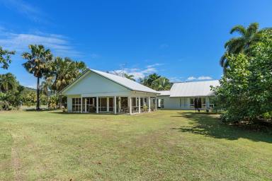 House For Sale - QLD - Wonga Beach - 4873 - Beachside and Rural Lifestyle: A Lovely Spacious Home  (Image 2)